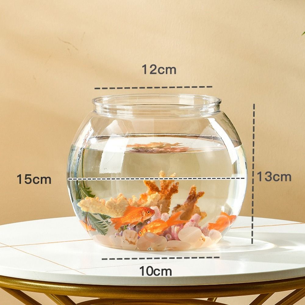 Aquarium Fish Names - Aquário de mesa transparente e redondo