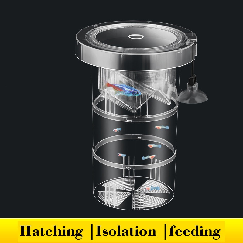 Aquarium Fish Betta - Caixa de isolamento flutuante para criação
