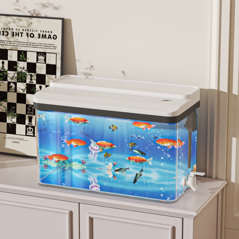 Aquarium Fish For Beginners - Pequeno kit de aquário betta de