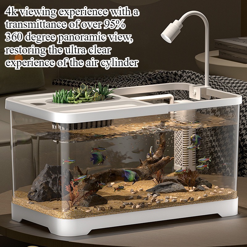 Aquarium Fish In Bowl - Aquário doméstico para sala de estar,