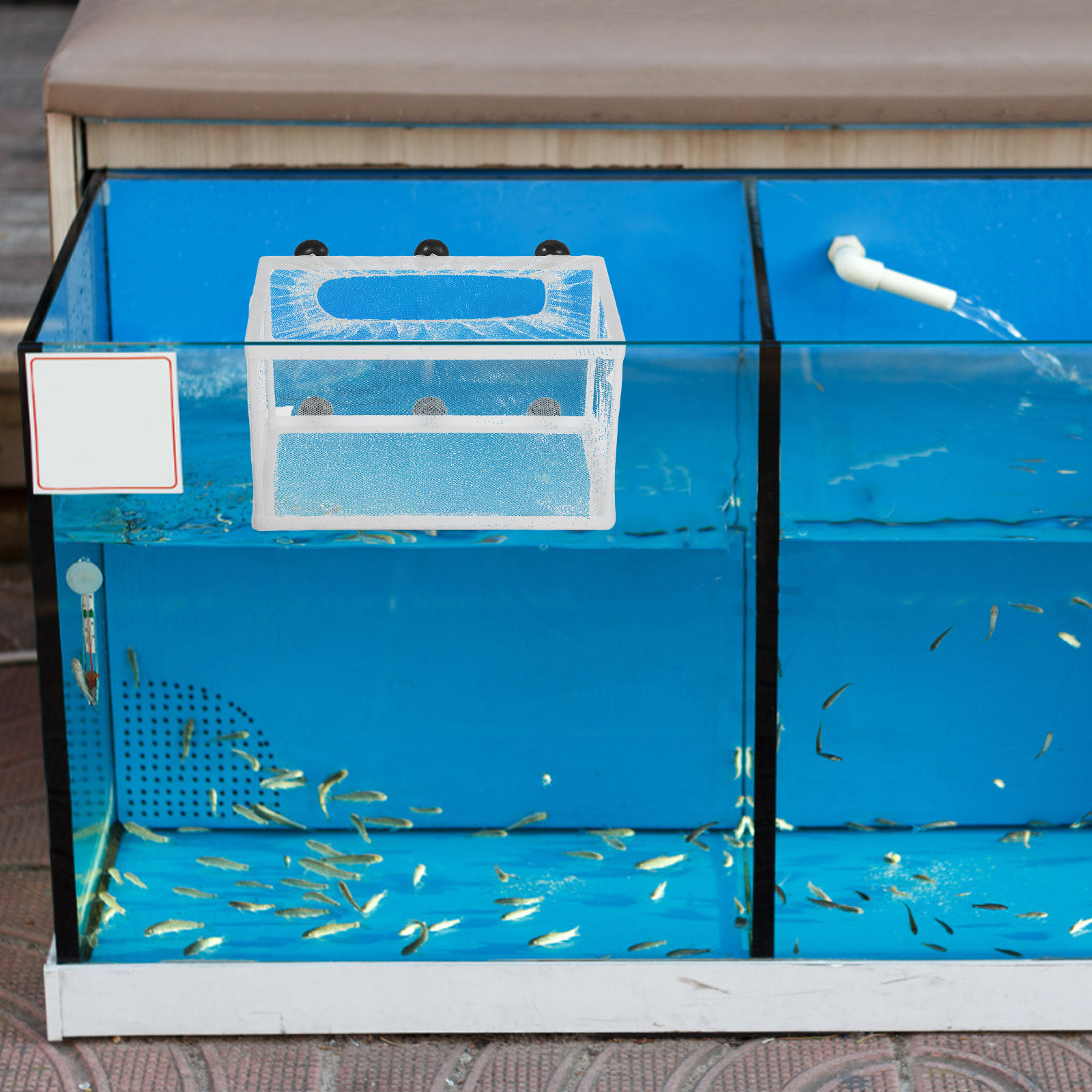 Aquarium Fish Big Size - Rede de Separação Grande para Aquário,