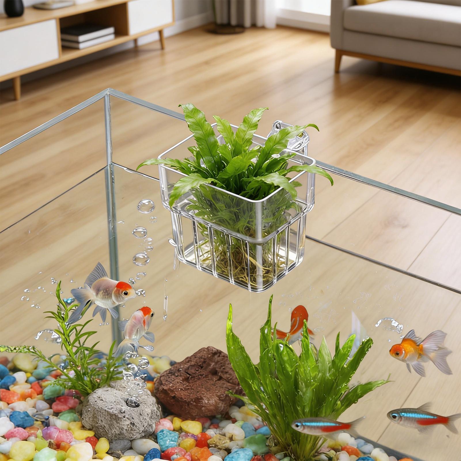 Aquarium Fish Names - Suporte Transparente Pendurável para Plantas de