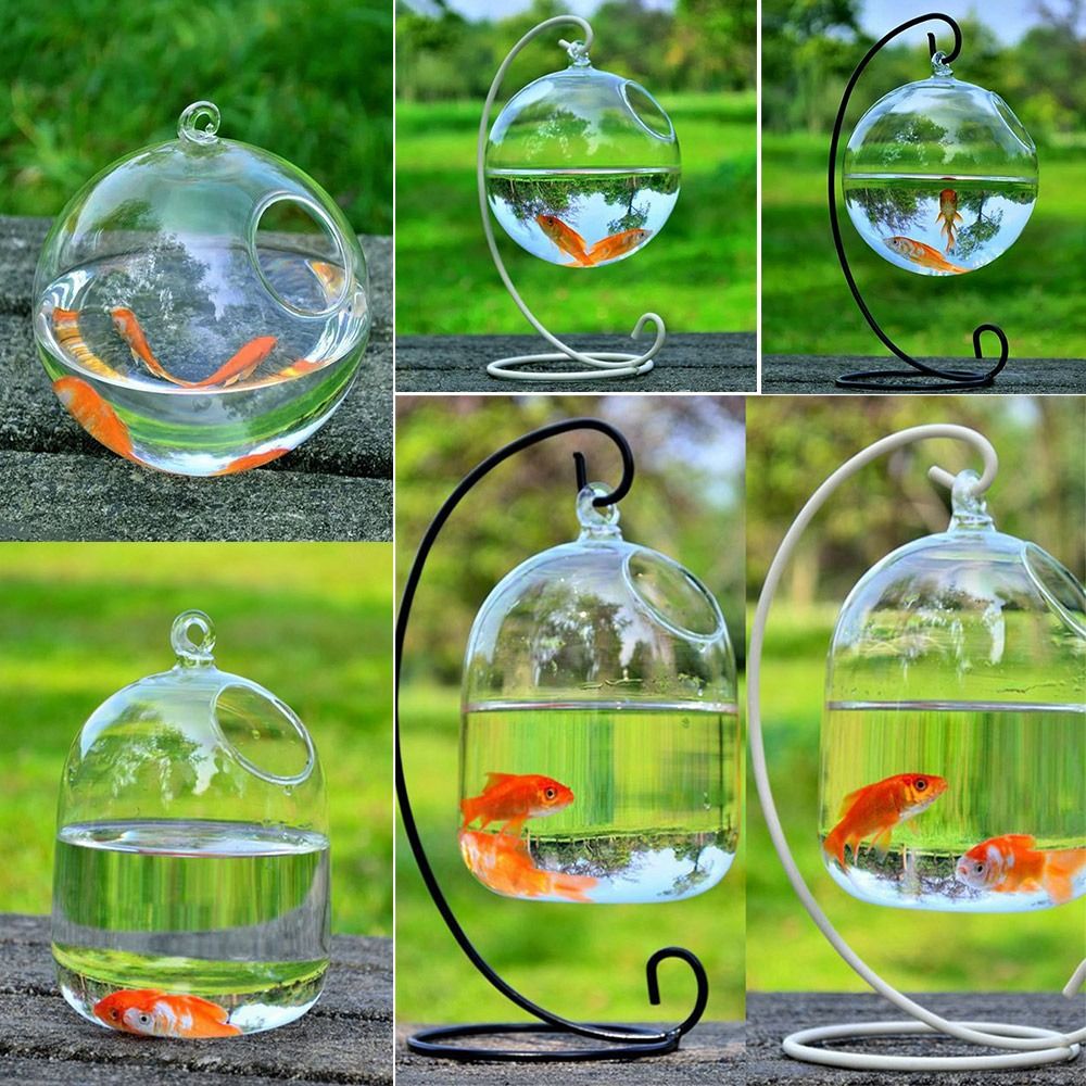 Aquarium Fish In Bowl - Decoração de Aquário Suspensa na Parede