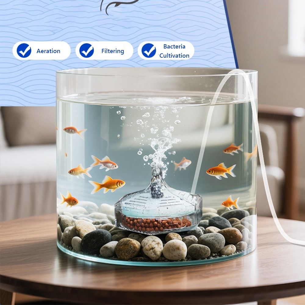 Aquarium Fish For Beginners - Novo filtro portátil para aquário, filtro