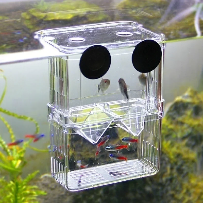 Aquarium Fish In Bowl - Aquário Multifuncional de Alta Transparência para
