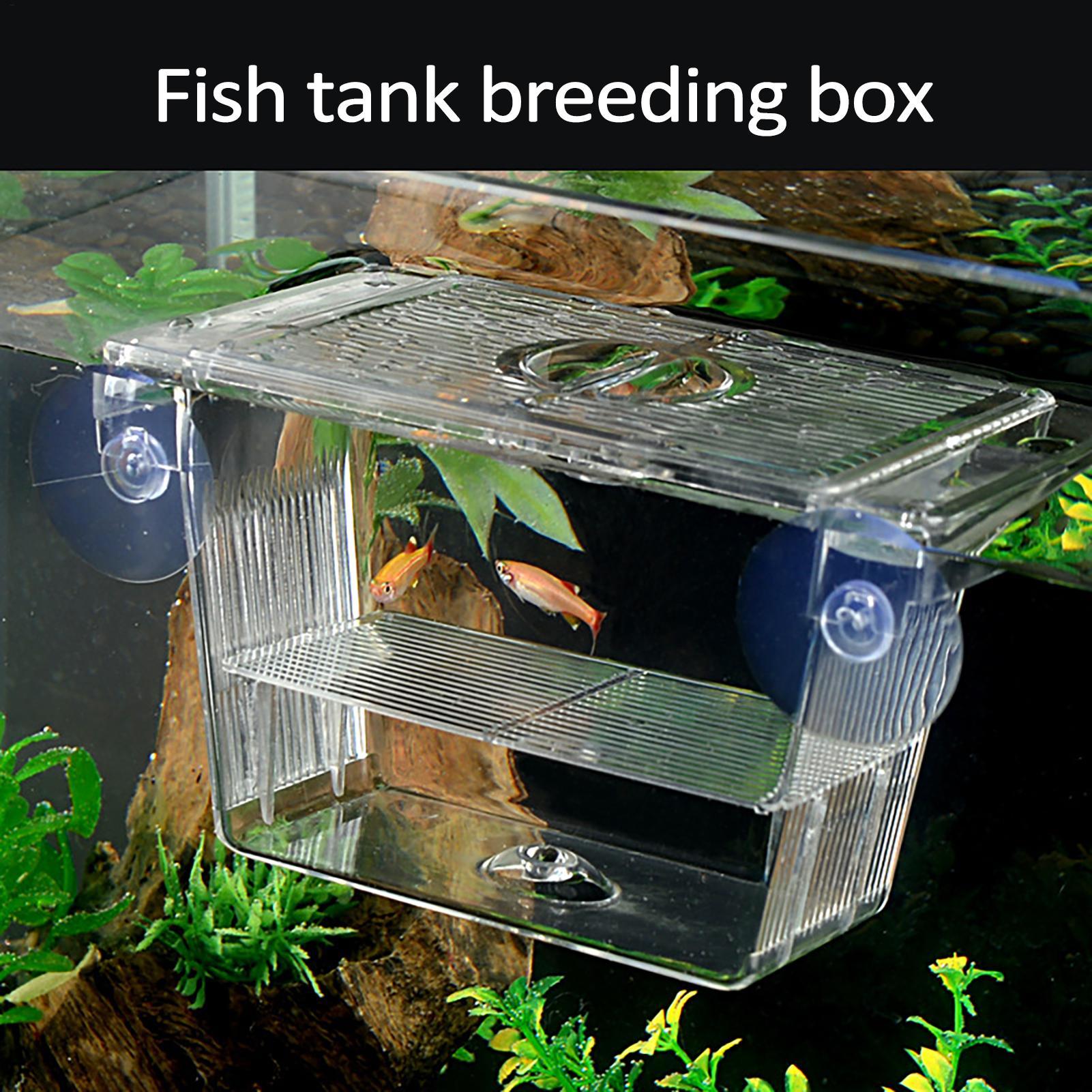 Aquarium Fish In Bowl - Caixa de Criação para Aquário, Caixa