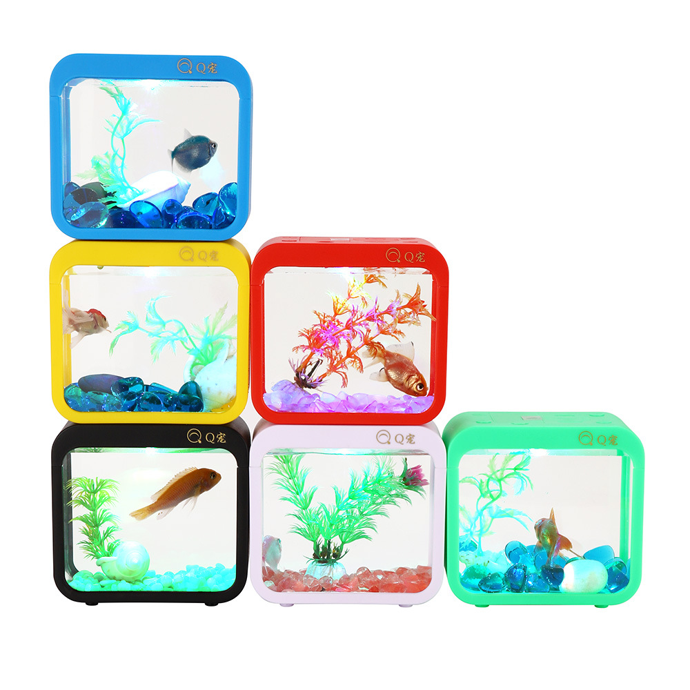 Caixa criativa colorida betta  - Aquarium Fish Betta avaliação e preço