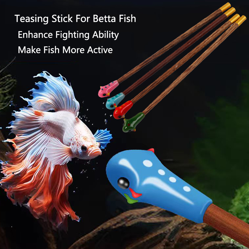Varinha de treinamento betta p - Aquarium Fish For Beginners avaliação e preço