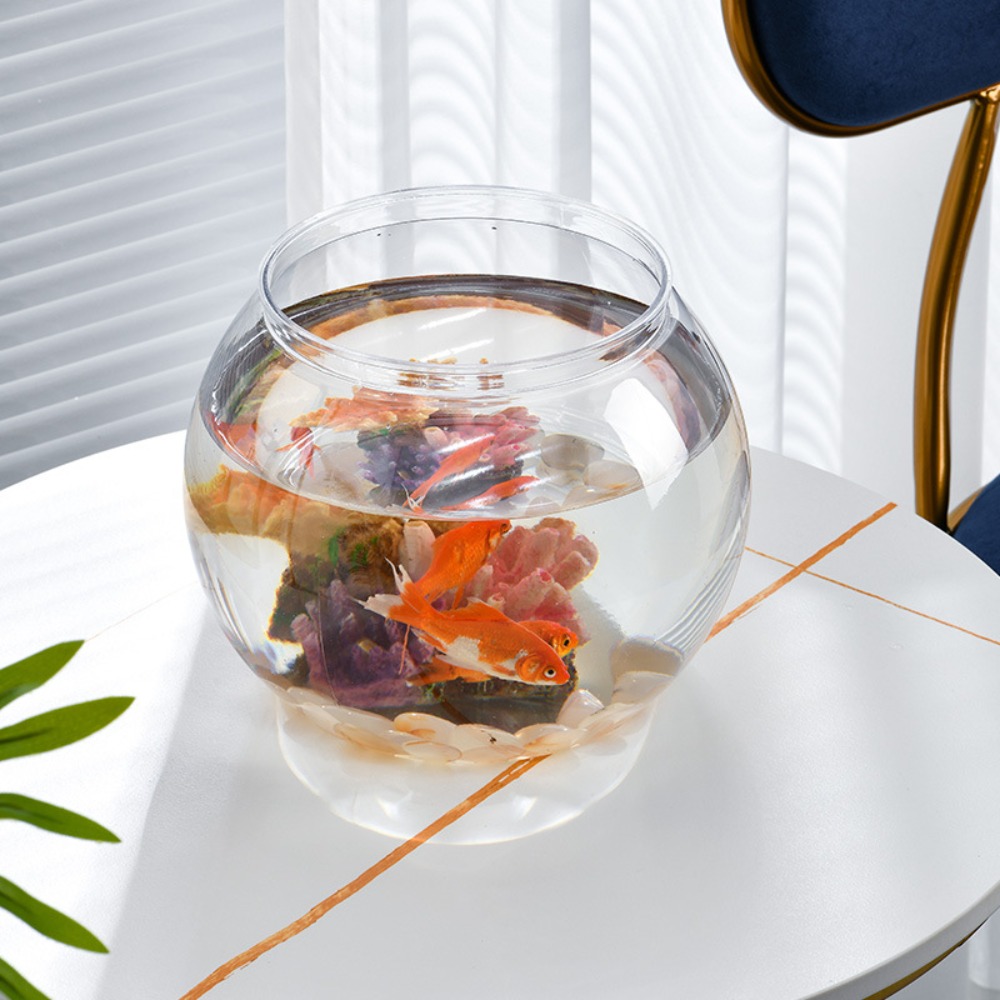 Aquário de mesa transparente e - Aquarium Fish Names avaliação e preço