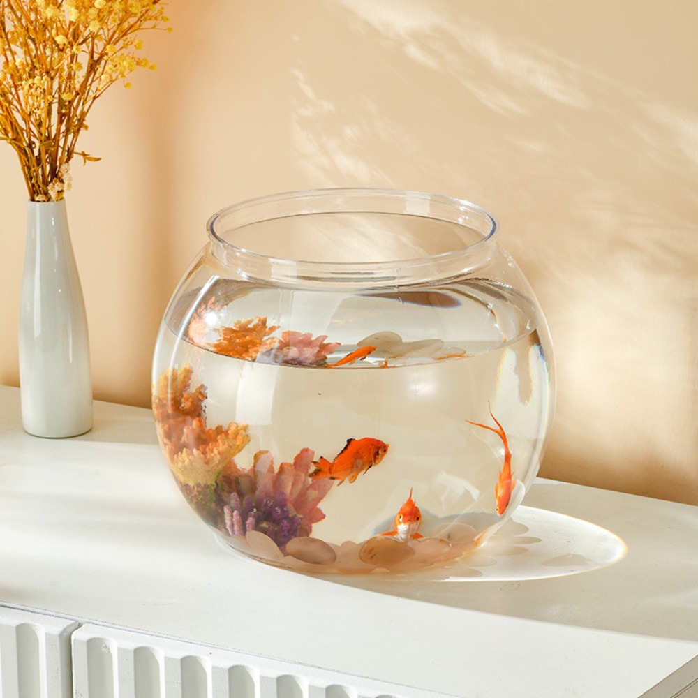 Aquário de mesa transparente e - Aquarium Fish Names avaliação e preço