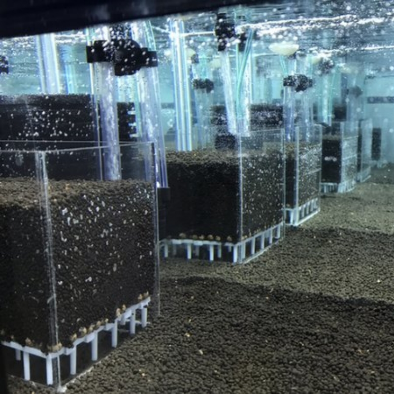 Sistema de Filtragem para Aquá - Aquarium Fish Reproduction avaliação e preço