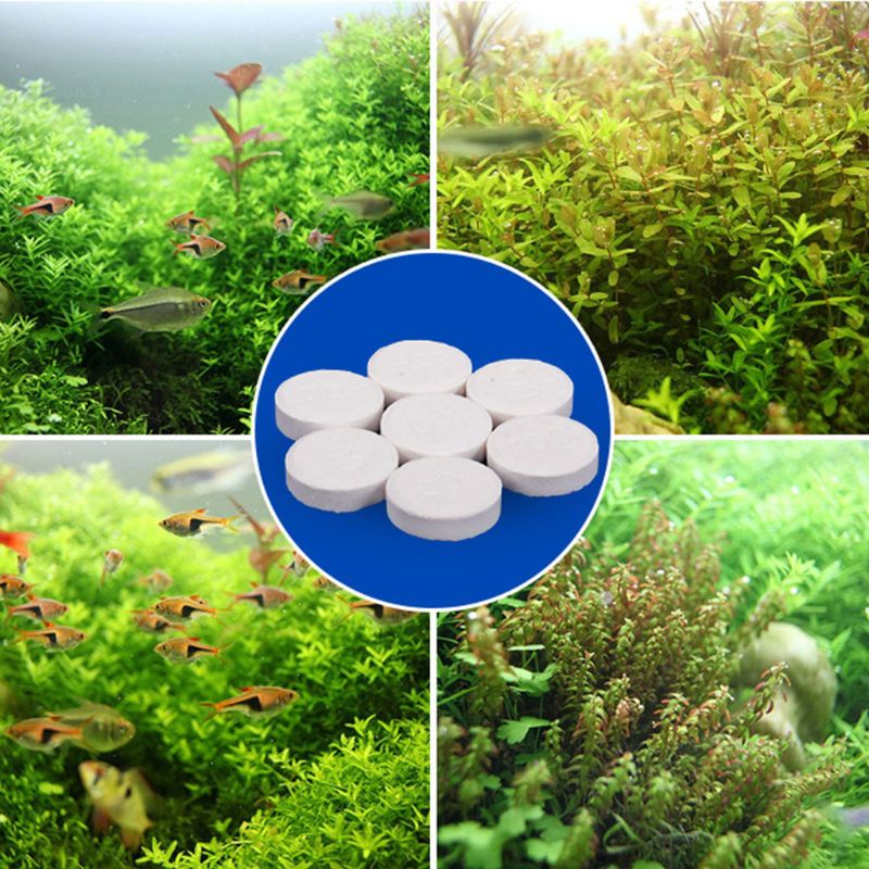 Tablet De Dióxido De Carbono P - Co2 Diffuser Planted avaliação e preço