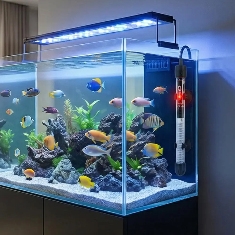 Aquecedor de Aquário Ajustável - Aquarium Fish Cold Water avaliação e preço