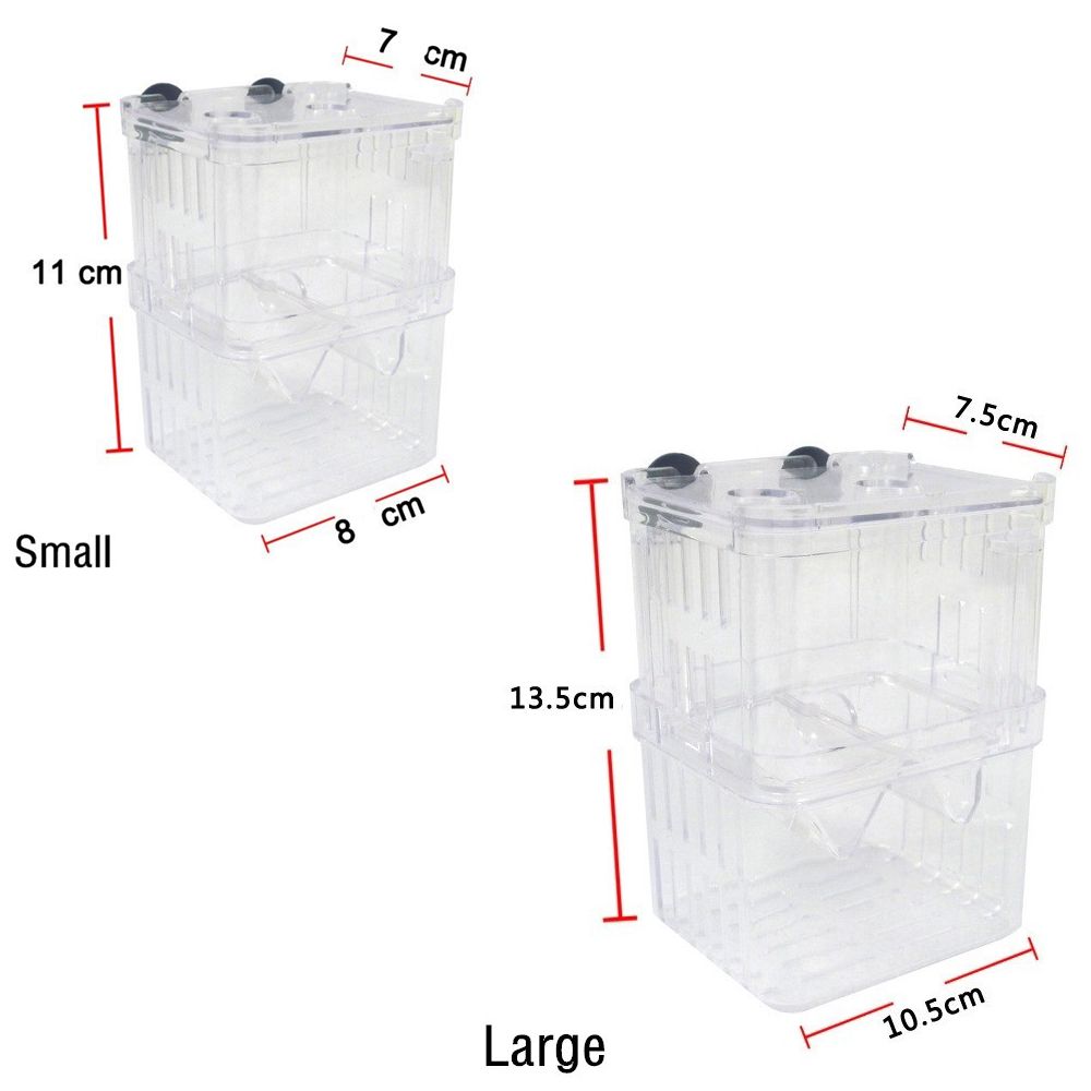 Tanque de aquário para peixes  - Aquarium Fish Reproduction avaliação e preço