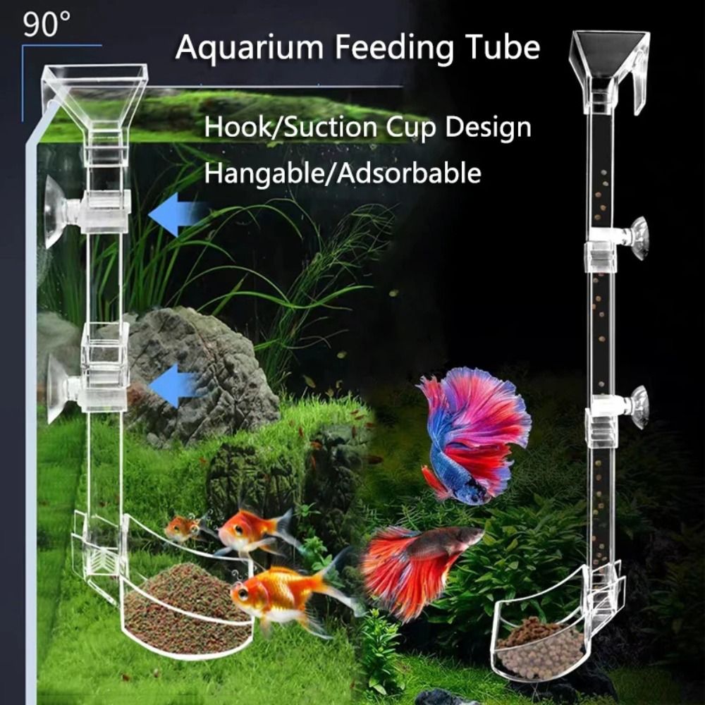 Novo transparente aquário tanq - Aquarium Fish For Beginners avaliação e preço