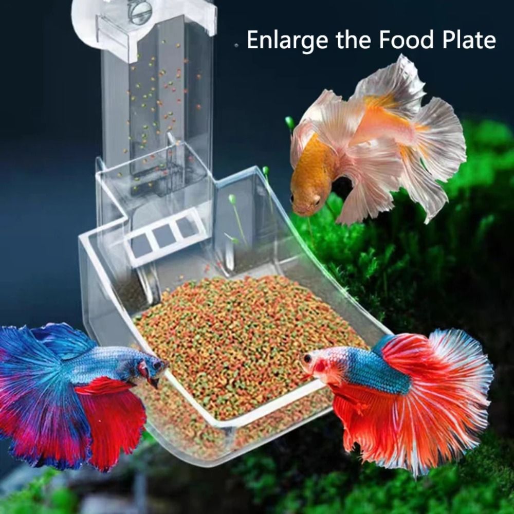 Novo transparente aquário tanq - Aquarium Fish For Beginners avaliação e preço