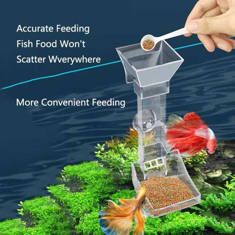 Novo transparente aquário tanq - Aquarium Fish For Beginners avaliação e preço
