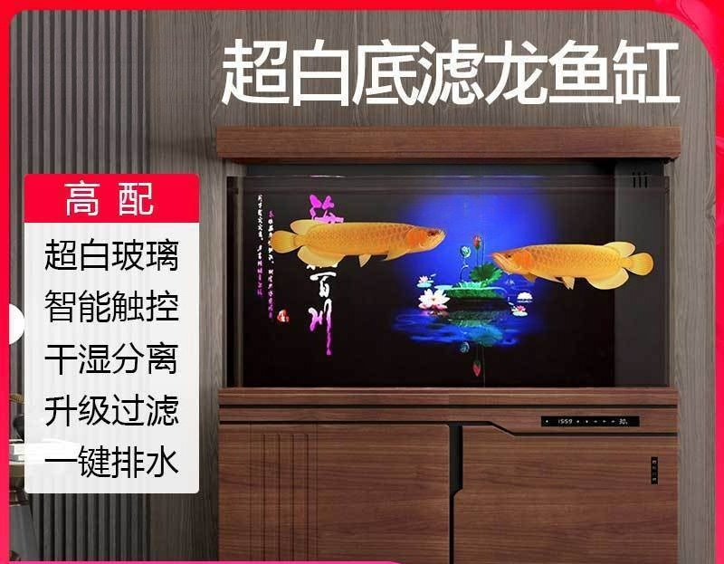 Aquário Xilong grande e médio  - Aquarium Xilong avaliação e preço