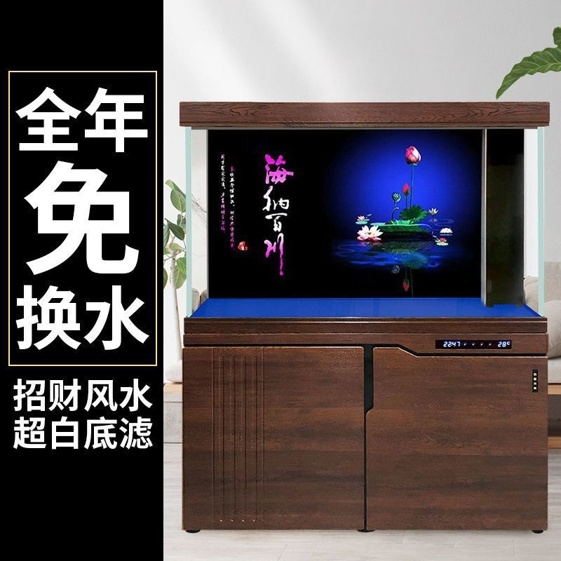 Aquário Xilong grande e médio  - Aquarium Xilong avaliação e preço