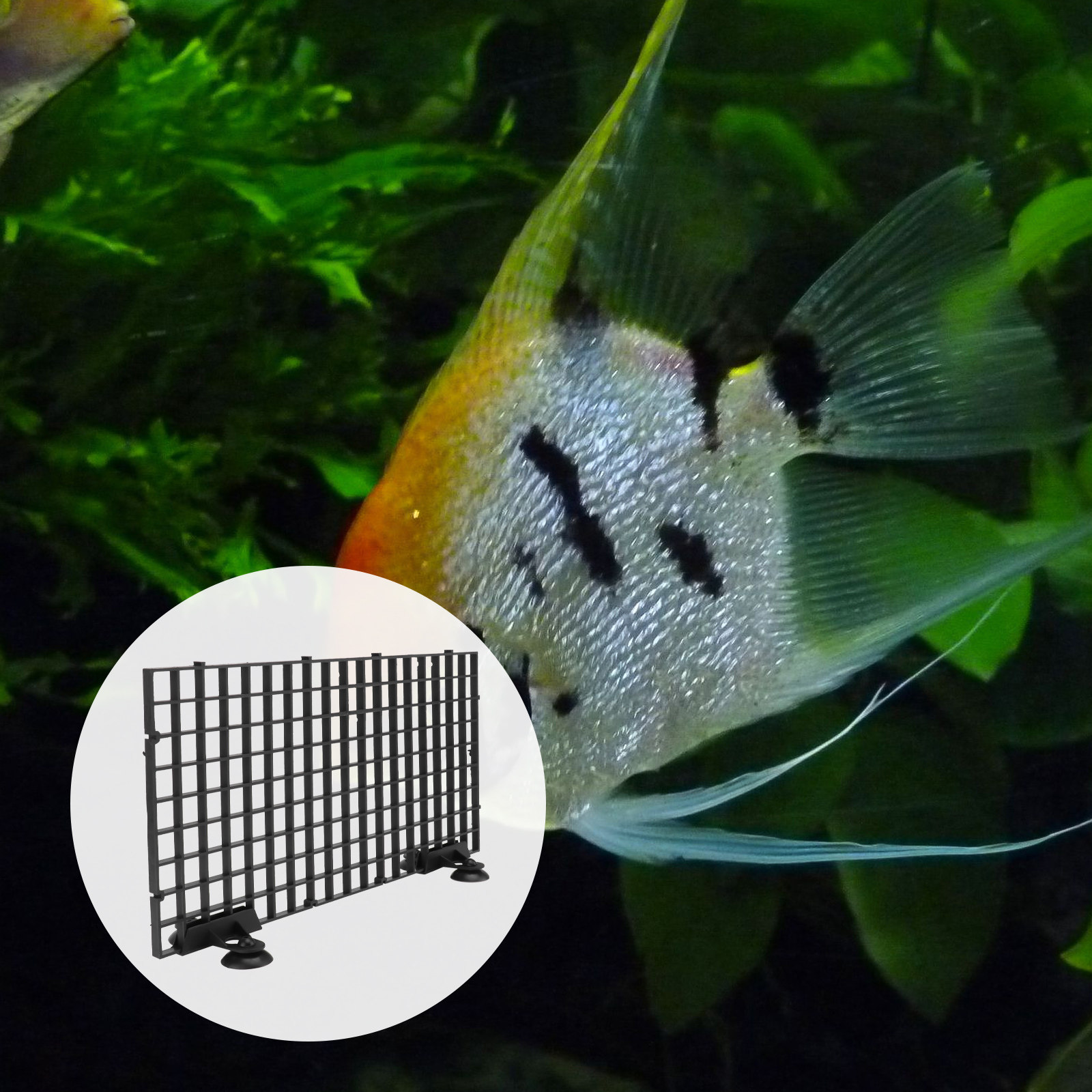 Rede de Criação de Peixes Gran - Aquarium Fish Big Size avaliação e preço