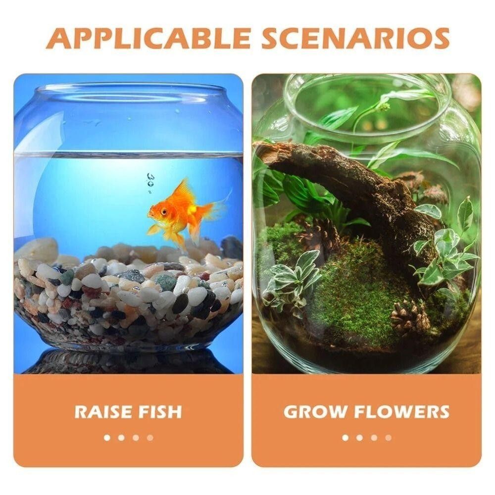 Aquário Transparente Portátil  - Aquarium Fish In Bowl avaliação e preço
