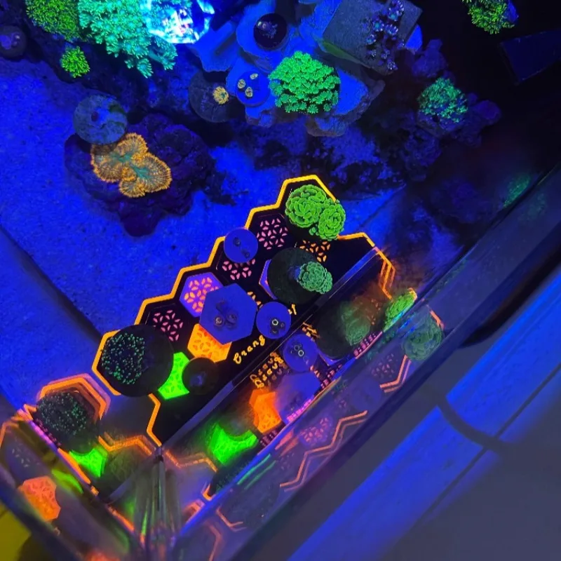 Plugs de Coral Fluorescente pa - Aquarium Fish Reproduction avaliação e preço