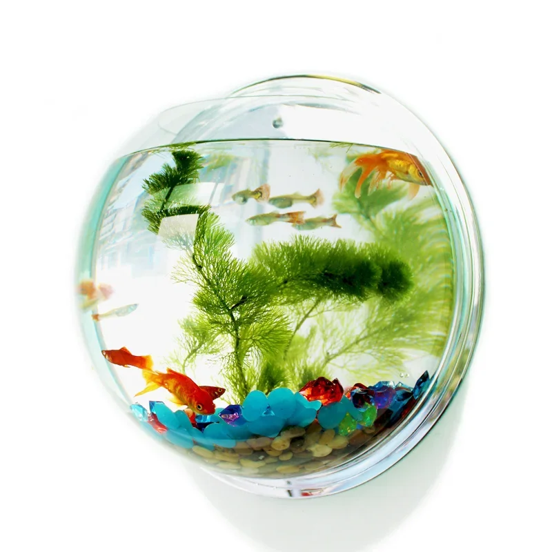 Pinsjar acrílico tigela de pei - Aquarium Fish In Bowl avaliação e preço