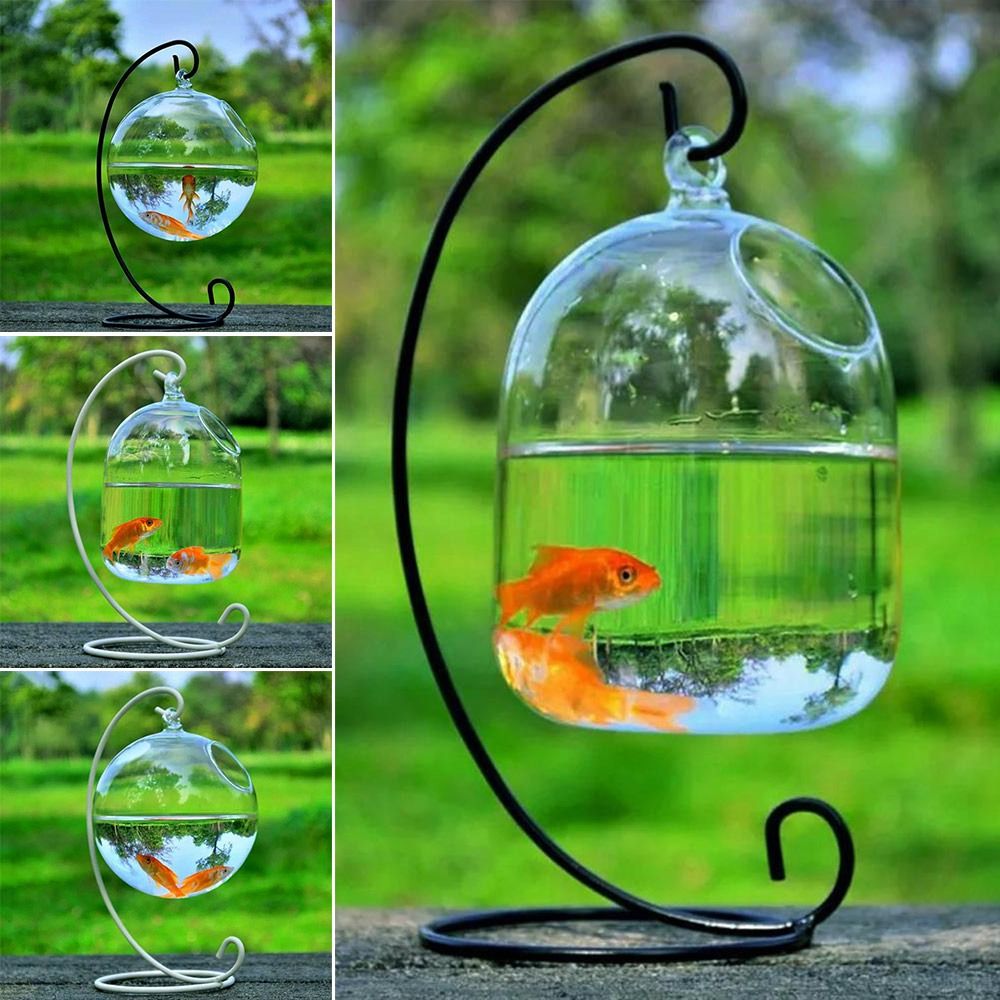Decoração de Aquário Suspensa  - Aquarium Fish Names avaliação e preço