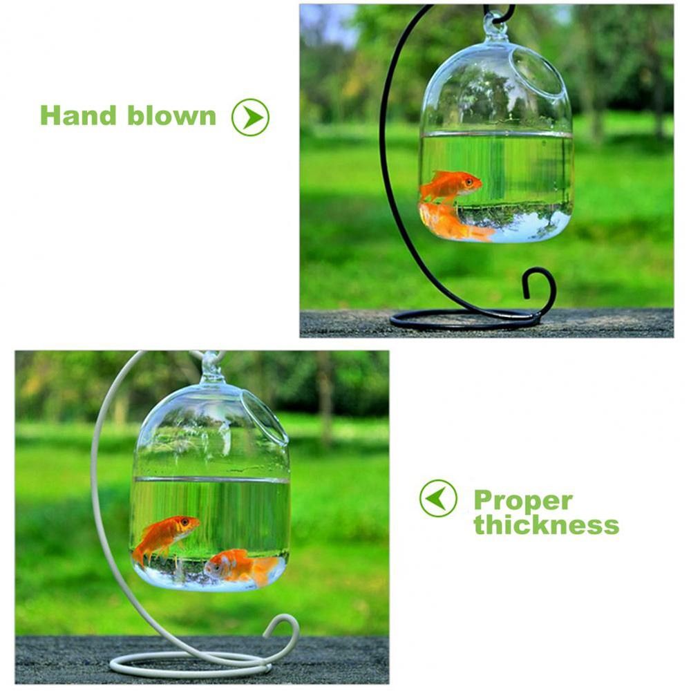 Decoração de Aquário Suspensa  - Aquarium Fish Names avaliação e preço