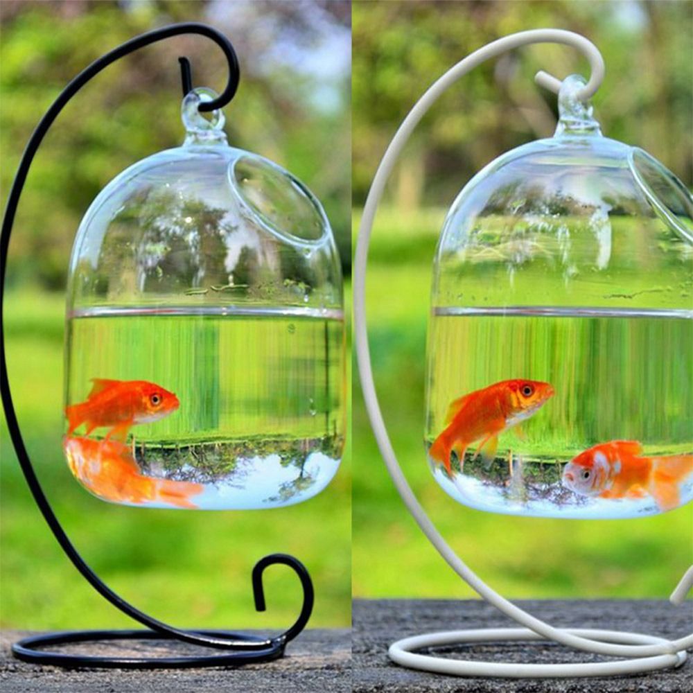Decoração de Aquário Suspensa  - Aquarium Fish Names avaliação e preço