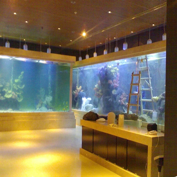 L acrílico grande tanque de pe - Aquarium Fish Big Size avaliação e preço
