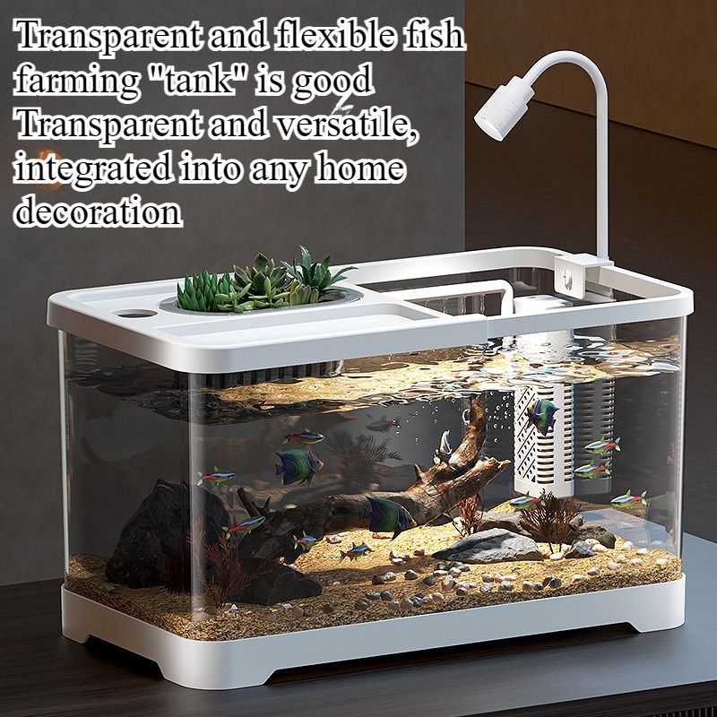Aquário doméstico para sala de - Aquarium Fish In Bowl avaliação e preço