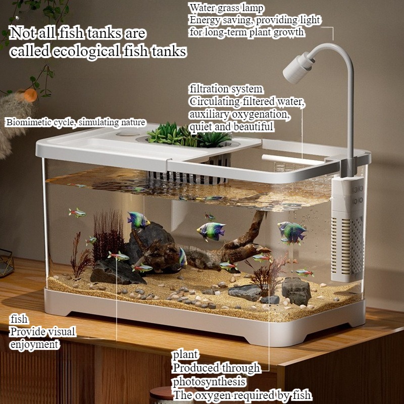 Aquário doméstico para sala de - Aquarium Fish In Bowl avaliação e preço