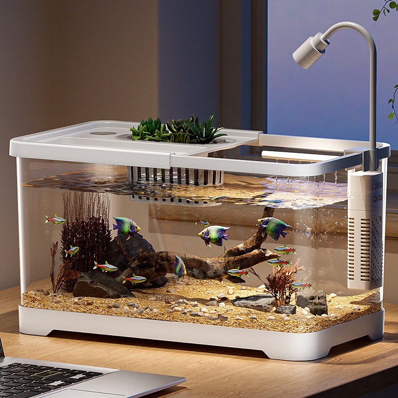 Aquário doméstico para sala de - Aquarium Fish In Bowl avaliação e preço