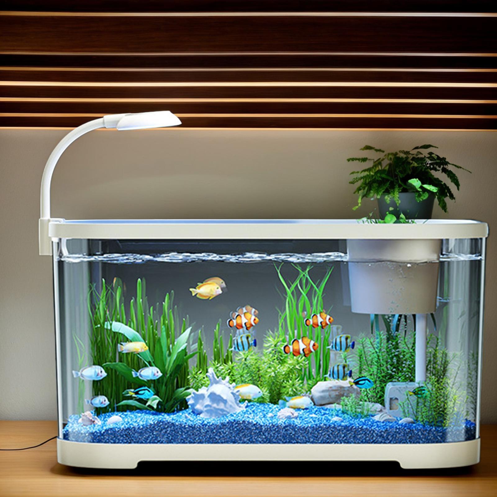 Kit de aquário starter betta t - Aquarium Fish For Beginners avaliação e preço