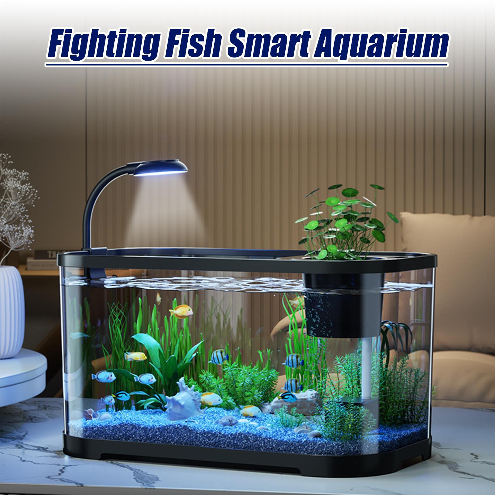 Kit de aquário starter betta t - Aquarium Fish For Beginners avaliação e preço