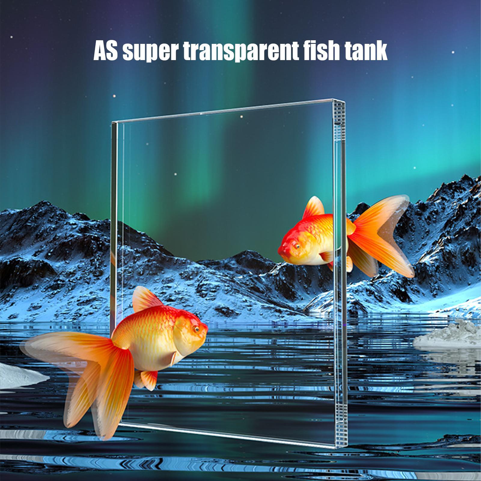 Kit de aquário starter betta t - Aquarium Fish For Beginners avaliação e preço