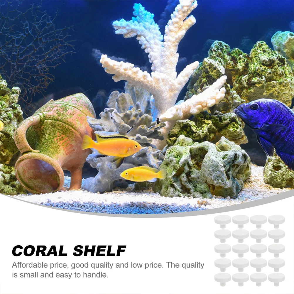 20 pçs cola coral recife segur - Aquarium Fish Reproduction avaliação e preço