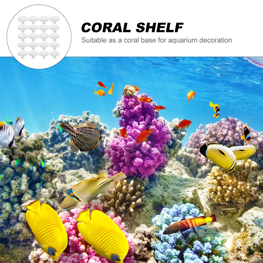 20 pçs cola coral recife segur - Aquarium Fish Reproduction avaliação e preço