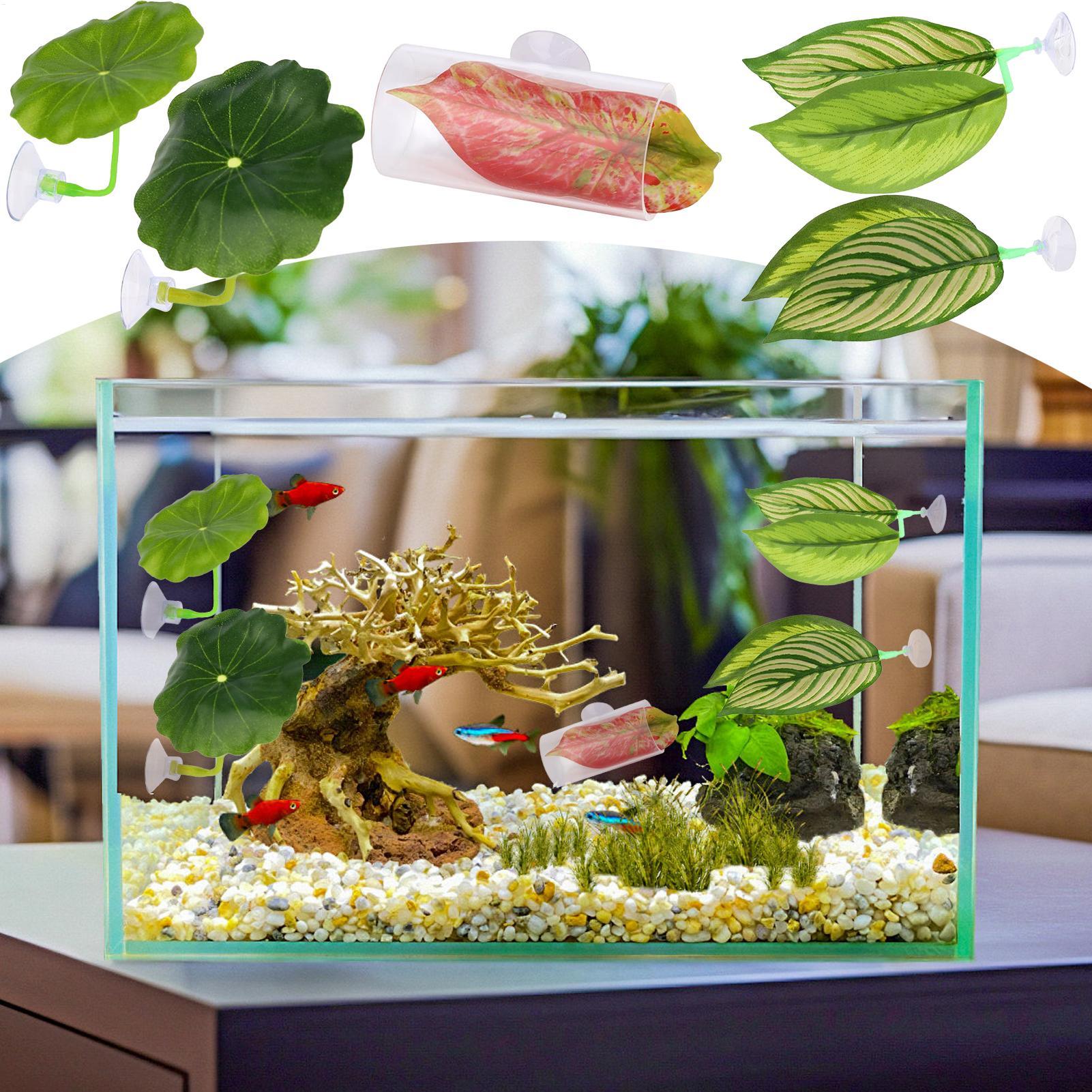 Rede de peixe betta 5 peças aj - Aquarium Fish Betta avaliação e preço