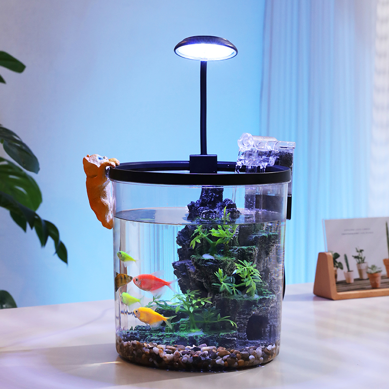 Tigela de peixinho redonda com - Aquarium Fish In Bowl avaliação e preço