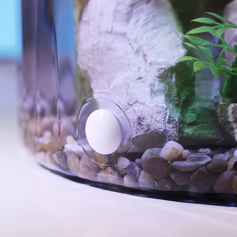 Tigela de peixinho redonda com - Aquarium Fish In Bowl avaliação e preço