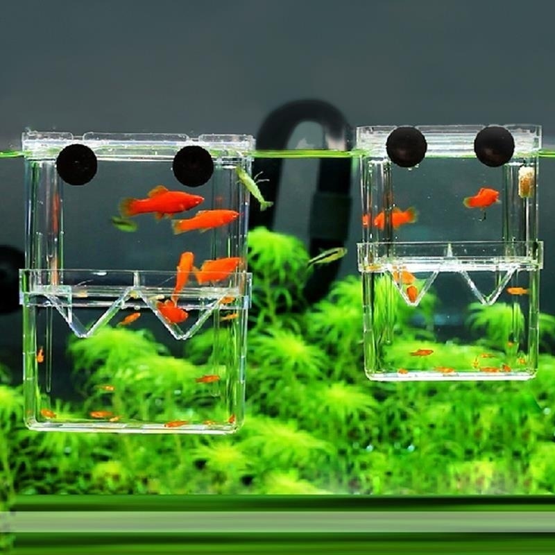 Multifuncional aquário de peix - Aquarium Fish In Bowl avaliação e preço