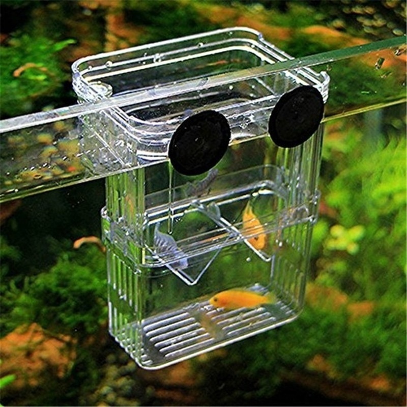 Multifuncional aquário de peix - Aquarium Fish In Bowl avaliação e preço