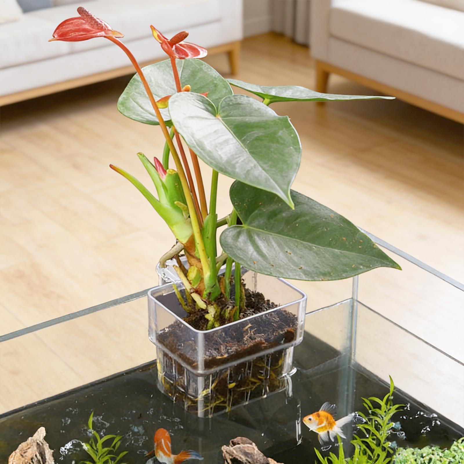 Suporte Transparente Penduráve - Aquarium Fish Names avaliação e preço