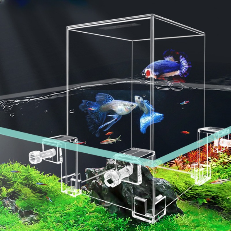 Aquário de pressão negativa pa - Aquarium Fish In Bowl avaliação e preço