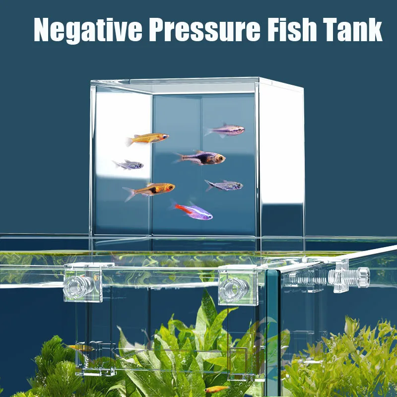 Aquário de pressão negativa pa - Aquarium Fish In Bowl avaliação e preço