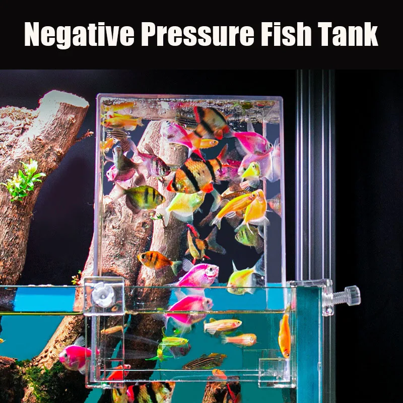 Aquário de pressão negativa pa - Aquarium Fish In Bowl avaliação e preço
