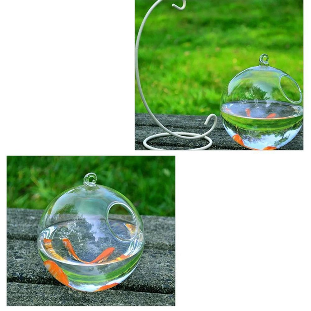 Decoração de Aquário Suspensa  - Aquarium Fish In Bowl avaliação e preço
