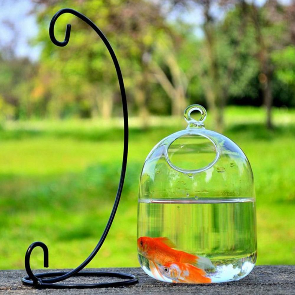 Decoração de Aquário Suspensa  - Aquarium Fish In Bowl avaliação e preço